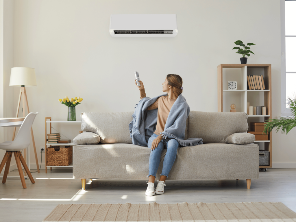 Ductless Mini-Split services